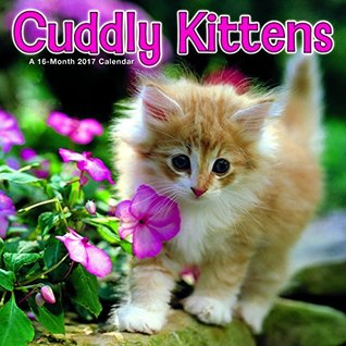 Download Trends International 2017 Mini Wall Calendar, September 2016 - December 2017, 7 x 7, Cuddly Kittens -  | ePub