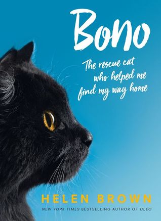 Full Download Bono: the rescue cat who helped me find my way home - Helen Brown file in ePub