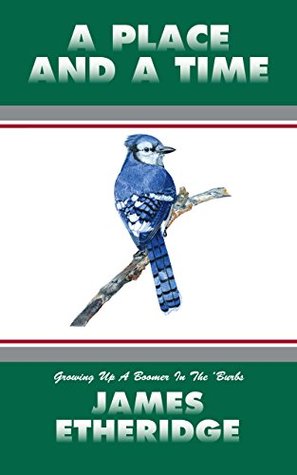 Full Download A Place And A Time: Growing Up A Boomer In The 'Burbs - James Etheridge | PDF