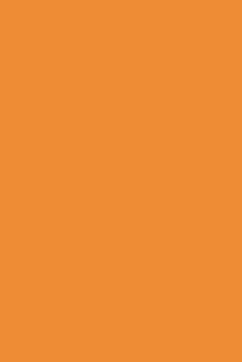 Download Tangerine 101 - Lined with Margins Notebook (Narrow): 101 Pages, 6 X 9, Narrow Ruled, Journal, Soft Cover - Legacy file in PDF
