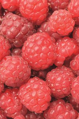 Full Download The Raspberries Journal: 150 Page Lined Notebook/Diary -  file in ePub