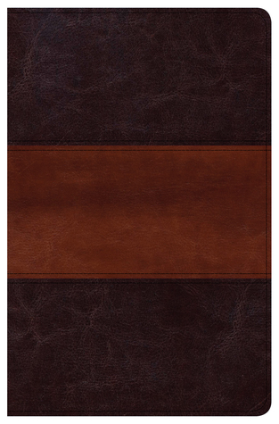 Read CSB Large Print Personal Size Reference Bible, Classic Mahogany LeatherTouch - CSB Bibles by Holman file in PDF