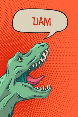 Download Liam: Personalized Dino Handwriting Practice Paper for Kids Notebook with Dotted Lined Sheets for K-3 Students 120 Pages 6x9 -  file in ePub