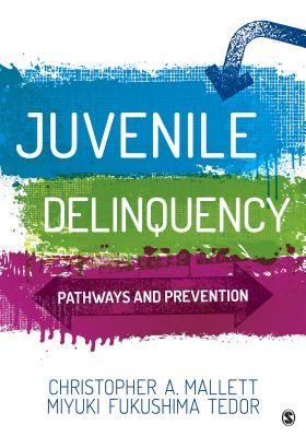 Full Download Juvenile Delinquency: Pathways and Prevention - Christopher A Mallett file in ePub