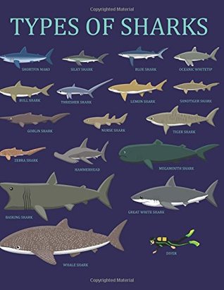 Read Types Of Sharks: Lined Shark Notebook (Shark Journal Composition Book) (8.5 x 11 Large) -  file in ePub