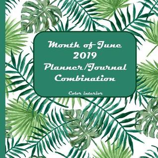 Download Month of June 2019 Planner/Journal Combination: Sixth Month in the lined Planner/Journal Combo Series, color interior, matte cover, paperback, daily guided mindfulness journal, half-hour increment planner, blue green on white - L S Goulet file in ePub