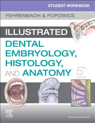Read Online Student Workbook for Illustrated Dental Embryology, Histology and Anatomy - Margaret J. Fehrenbach | ePub
