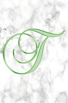 Full Download T Journal: A Monogram T Initial Capital Letter Notebook For Writing And Notes: Great Personalized Gift For All First, Middle, Or Last Names (Green Gold White Marble Print) - 401books | PDF
